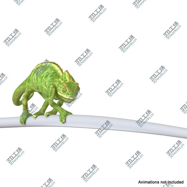 images/goods_img/20210312/Chameleon Rigged for Cinema 4D/2.jpg
